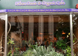 Life Alive Urban Oasis & Organic Cafe