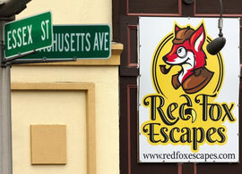 Red Fox Escapes